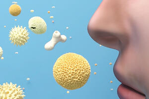 Samo tri dana posta čini čuda za naš organizam