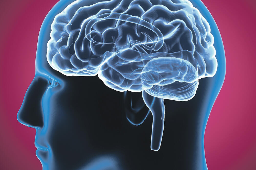 Glava, mozak, Foto: Shutterstock