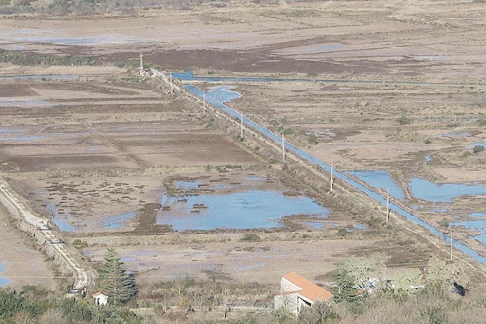 Tivatska solila (Novine)