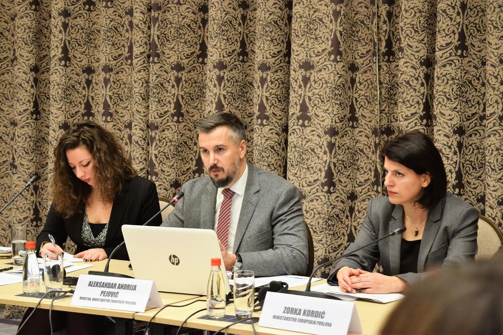 Aleksandar Andrija Pejović, Foto: Ministarstvo evropskih poslova