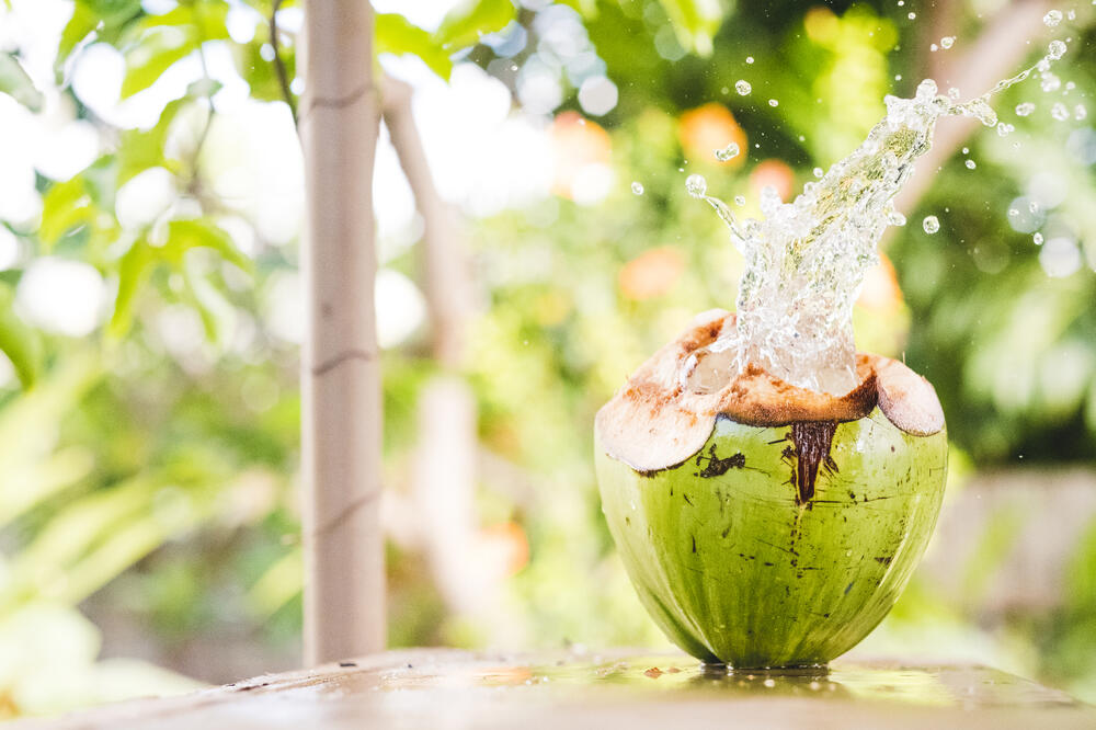 kokosova voda, Foto: Shutterstock