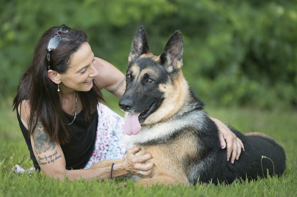 zlatnokosa vučjak, Foto: Beta