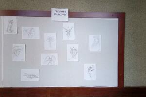 Beranski gimnazijalci pokazali svoj talenat