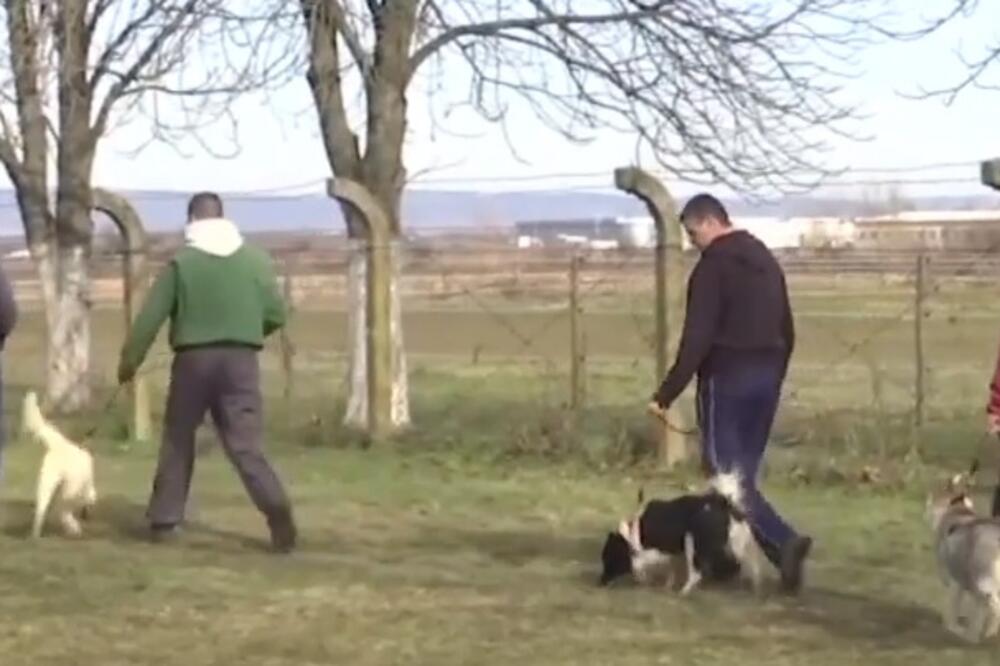 psi, zatvorenici, Foto: Printscreen