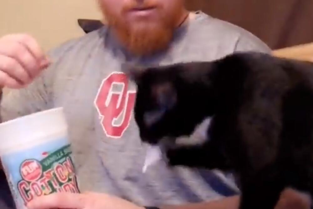 mačak, vlasnik, Foto: Printscreen