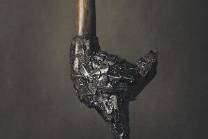 Zdravko Delibašić Beli laureat za rad "Mirovi"