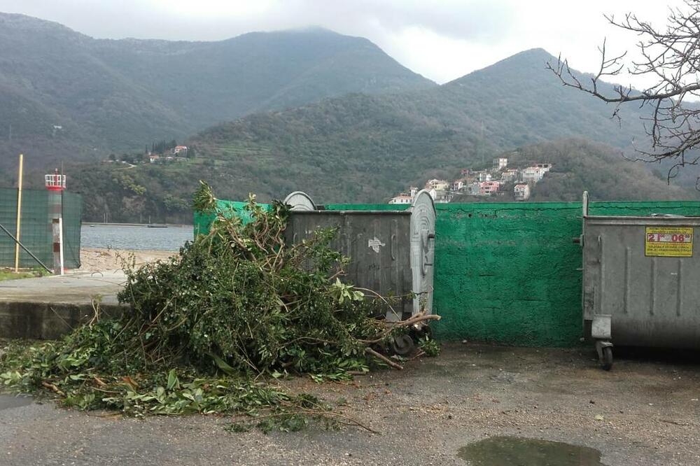 zeleni otpad, Foto: Slavica Kosić