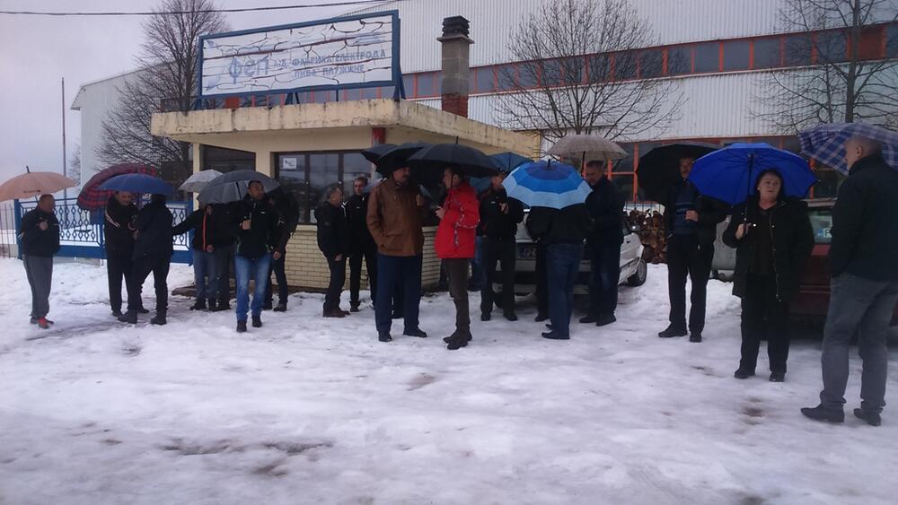 FEP Plužine, protest