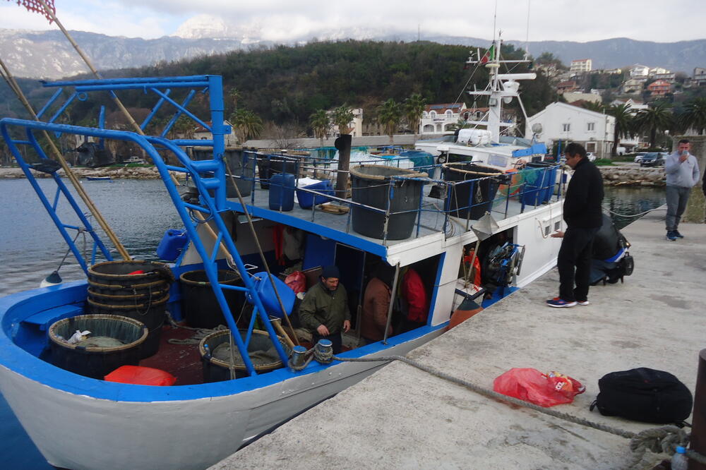 Erika, Foto: Slavica Kosić