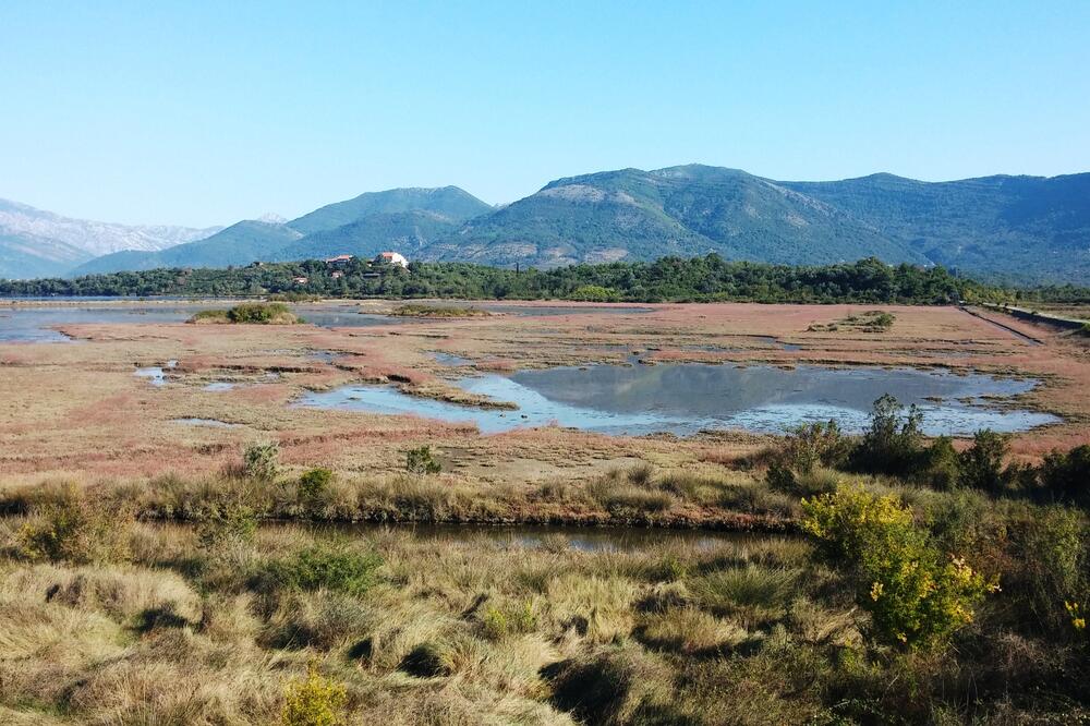 Solila, Njemci, Foto: Siniša Luković