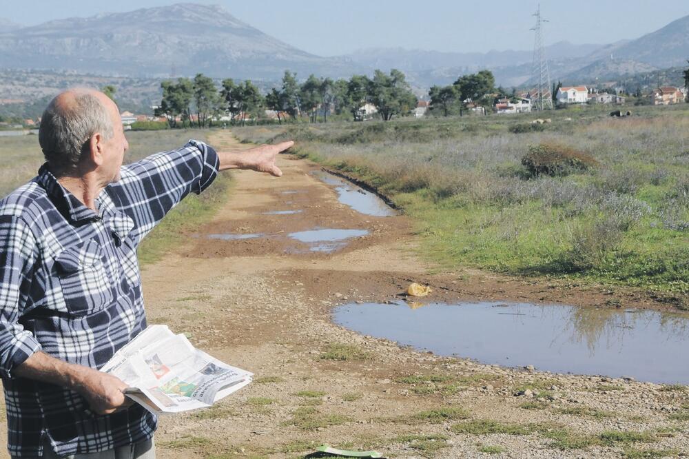 Sadine, Foto: Zoran Đurić