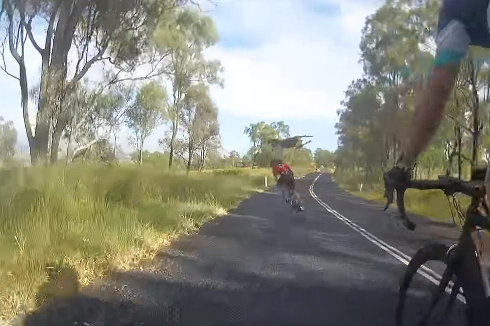 kengur biciklistkinja, Foto: Screenshot (Youtube)