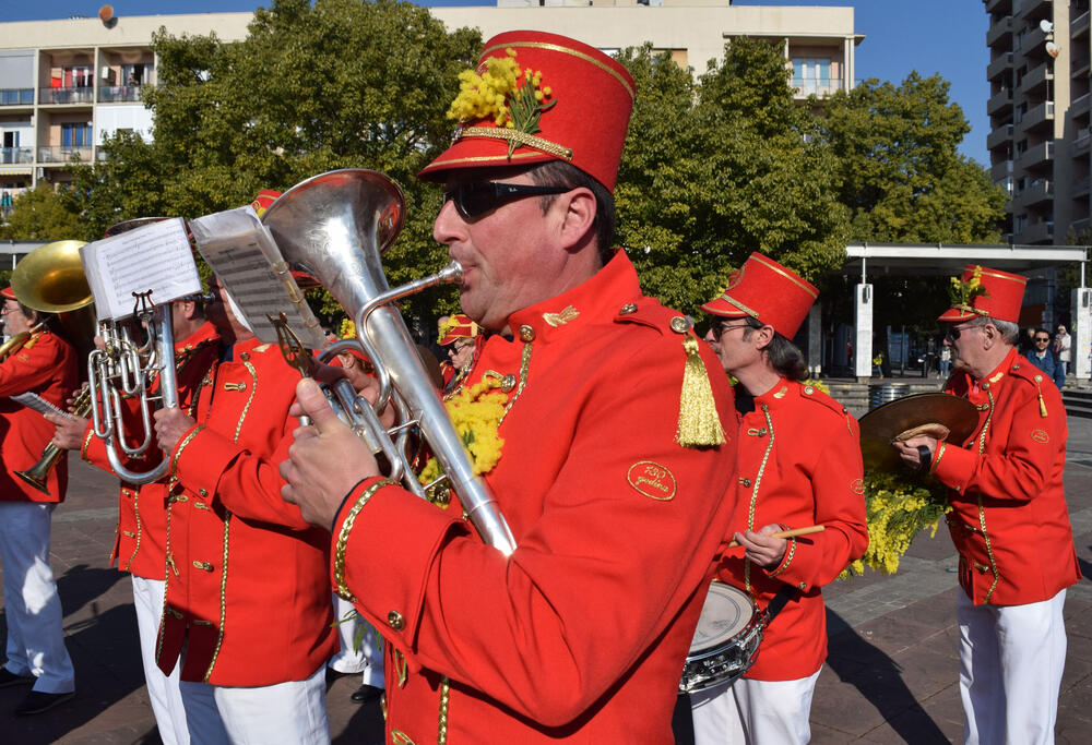 Praznik mimoze Podgorica