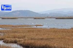 Vremeplov: Dva miliona za opremu Solane