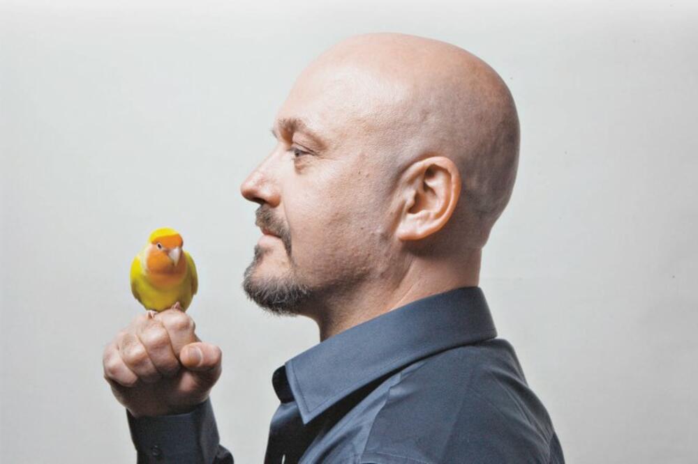 Bojan Zulfikarpašić (Novine), Foto: Oleofilms.fr