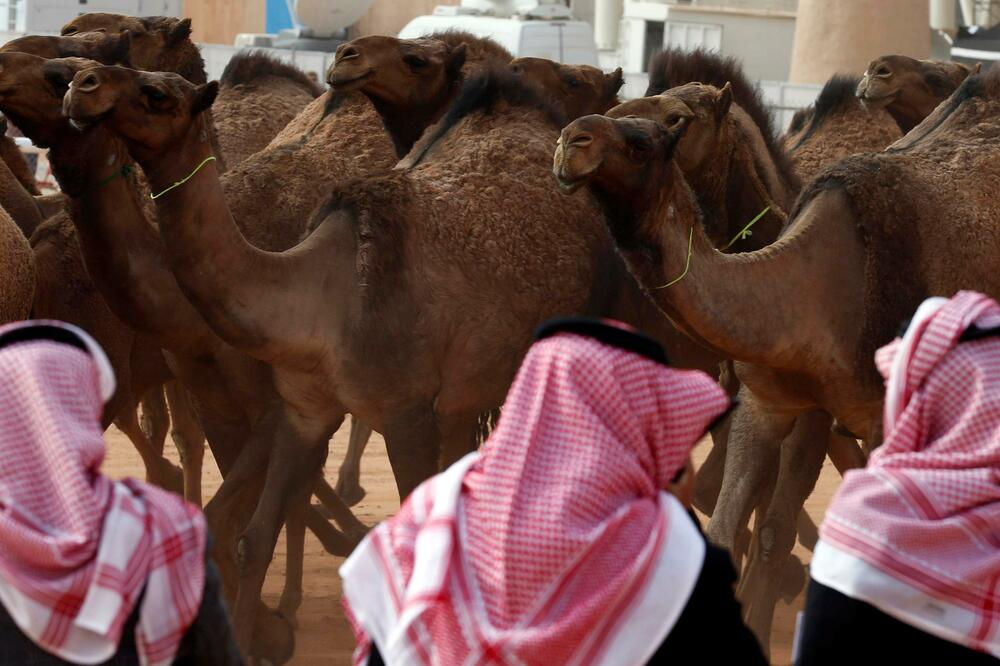 kamile, Foto: Reuters