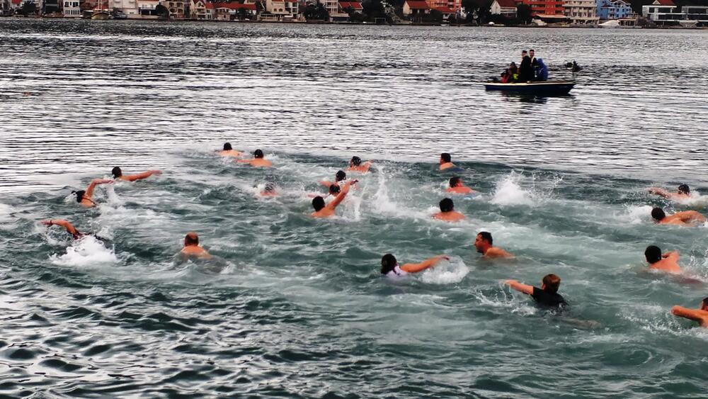 plivanje za krst, Tivat