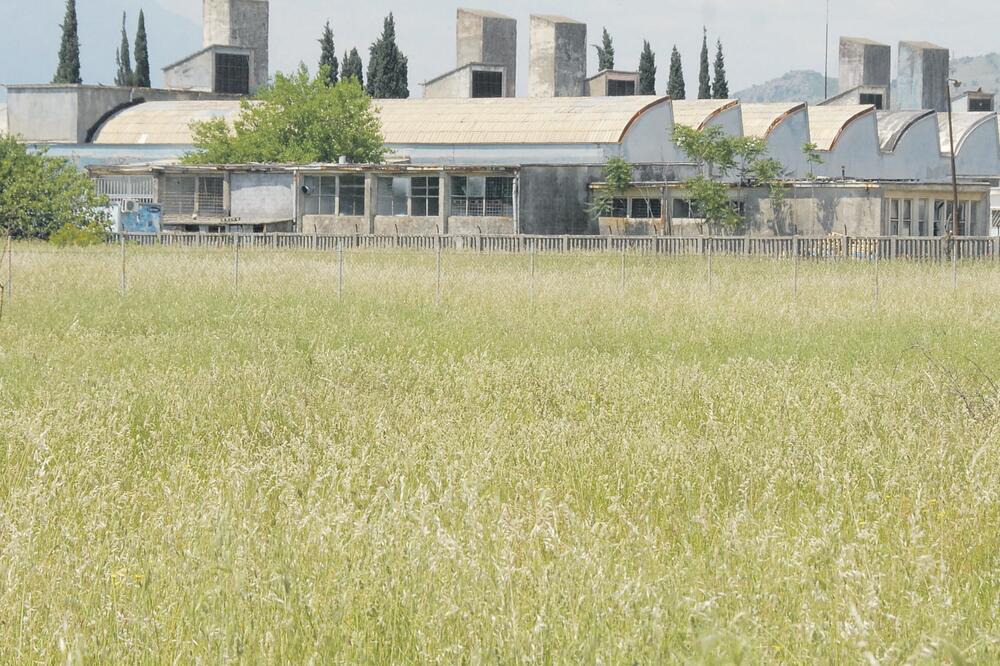 Titeks, Foto: Vesko Belojević