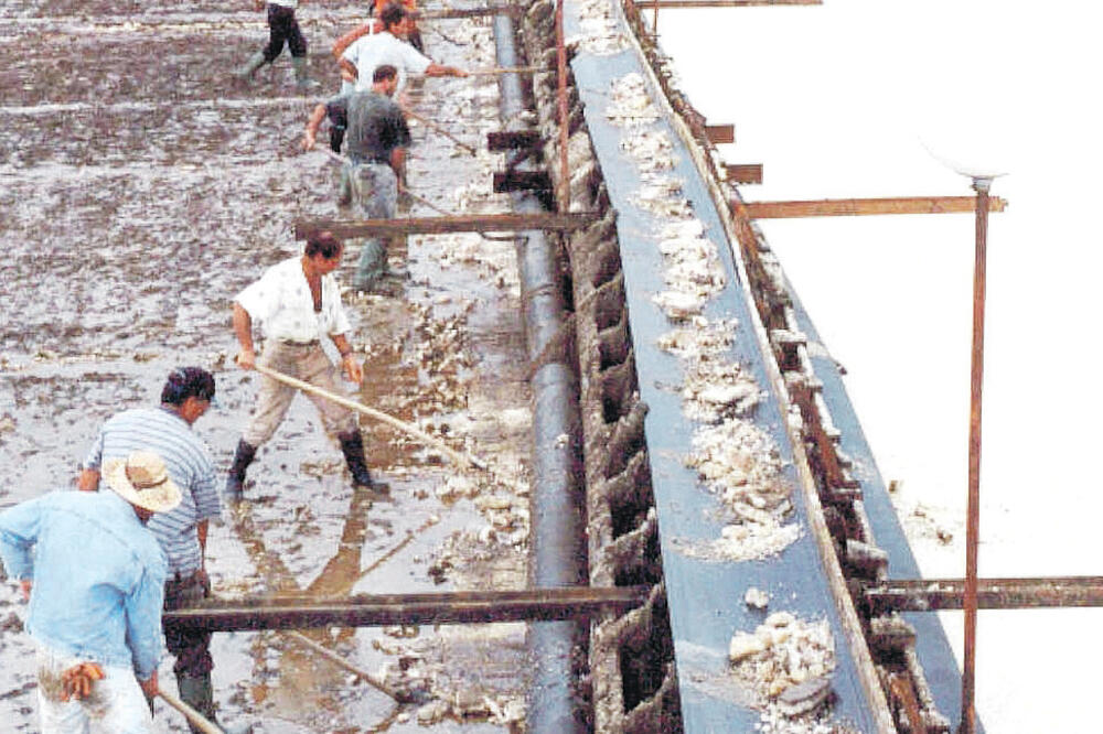 Solana, Foto: Vijesti