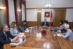 Brajović: Neophodna posvećenost političkih subjekata i institucija...