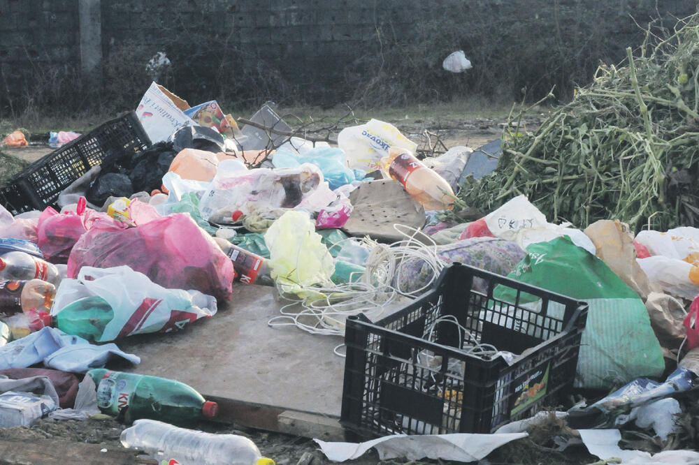 Smeće, otpad, Foto: Luka Zeković
