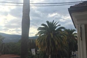 DPS traži sazivanje vanredne sjednice SO HN zbog palminog surlaša