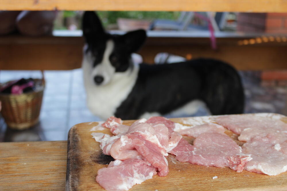 pas, meso, Foto: Shutterstock