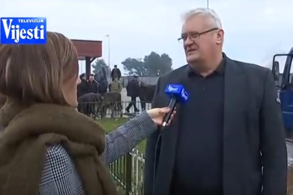 stočna pijaca, Foto: Screenshot (YouTube)