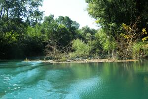 Ekološki pokret Ozon: Krenite u proces zaštite rijeke Zete