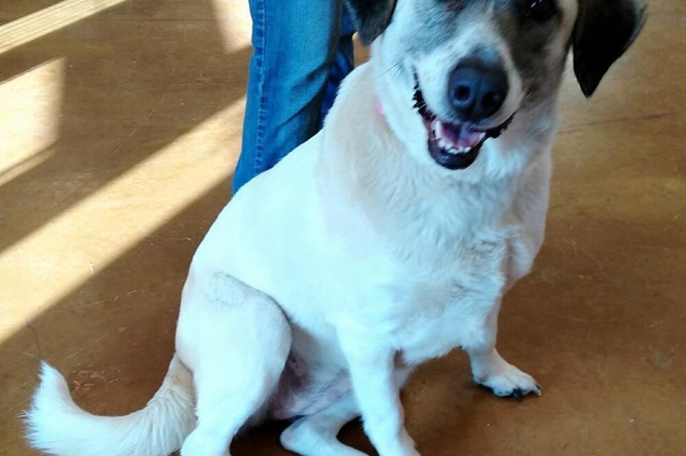 pas Ketlin, Foto: Facebook.com