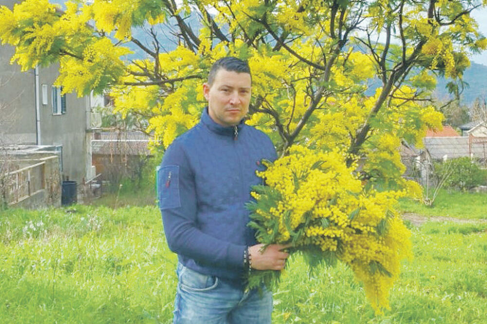 Dado Vujnović, Foto: Slavica Kosić