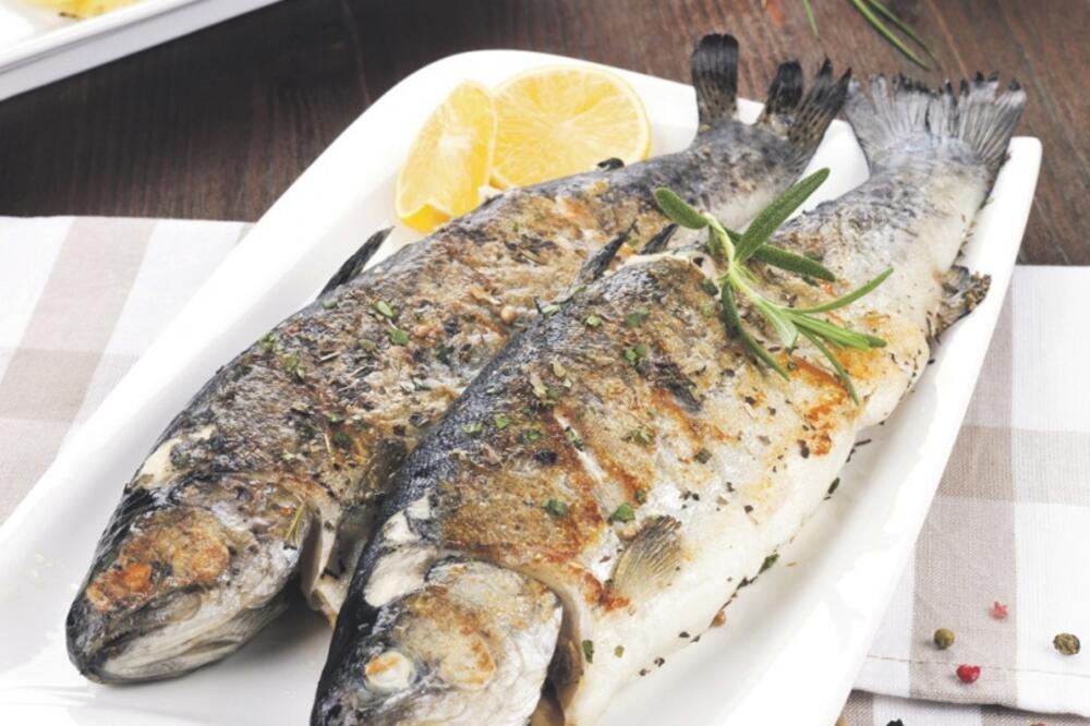 riba, Foto: Shutterstock