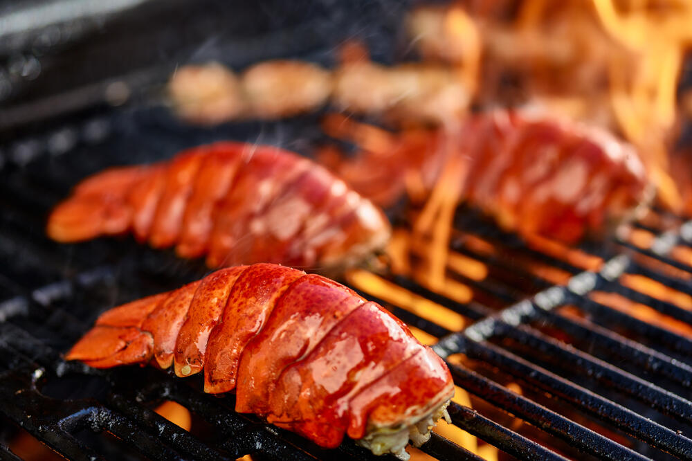 jastog, Foto: Shutterstock