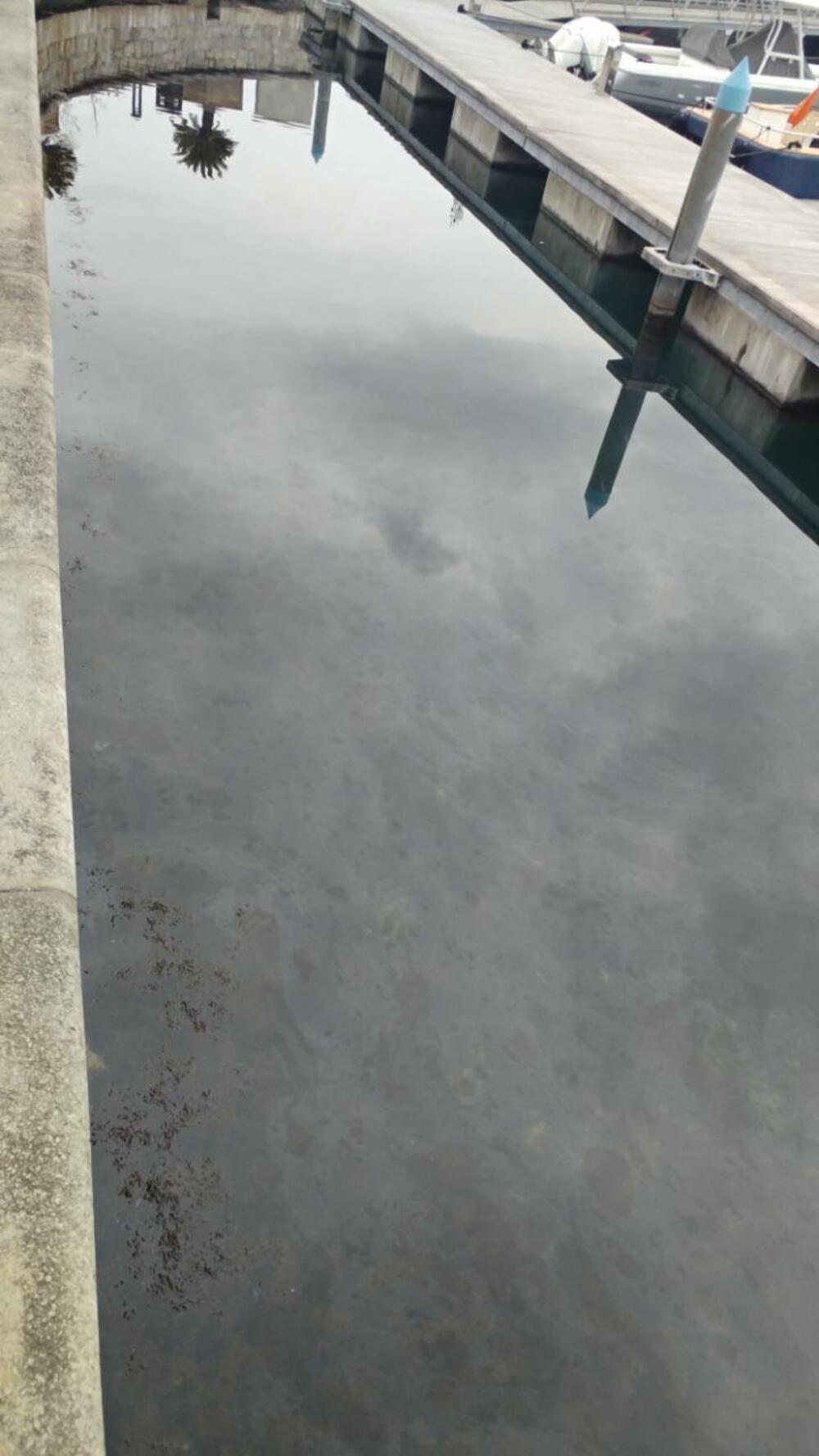 Tivat, mrlje od nafte