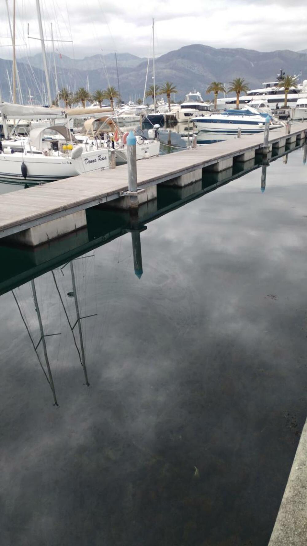 Tivat, mrlje od nafte