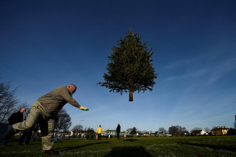 Irska božično drvo takmičenje