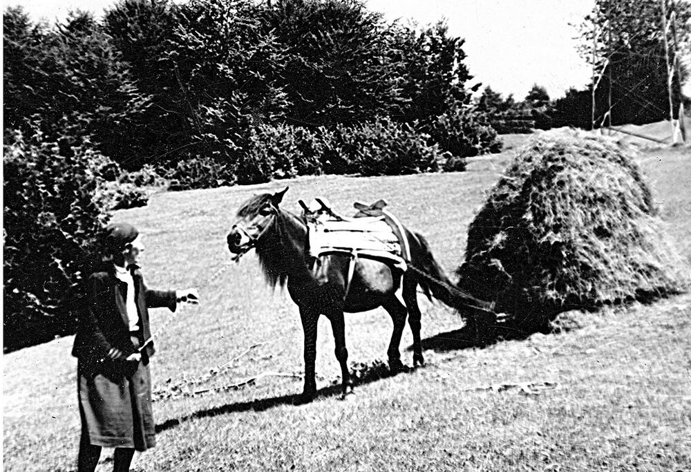fotografija Vuka Vlahovića