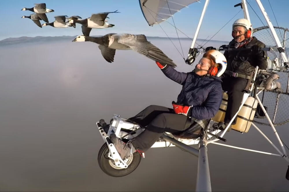 Let sa pticama, Foto: Screenshot (Youtube)