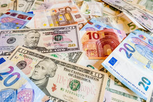 Dijaspora godišnje pošalje oko pola milijarde eura