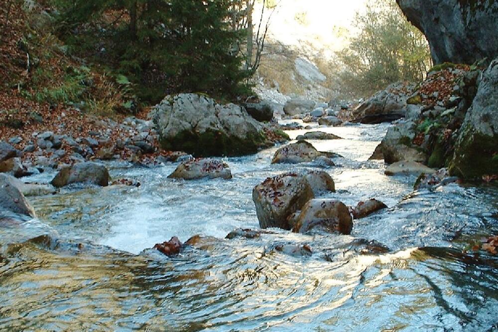 PErućica, Foto: Mnemagazin.me