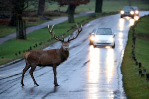 Veliku Britaniju očekuje najhladnija noć u godini