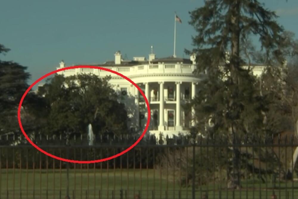 magnolija, Bijela kuća, Foto: Printscreen