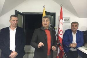 Brajović: Socijaldemokrate intenzivno jačaju partijsku...