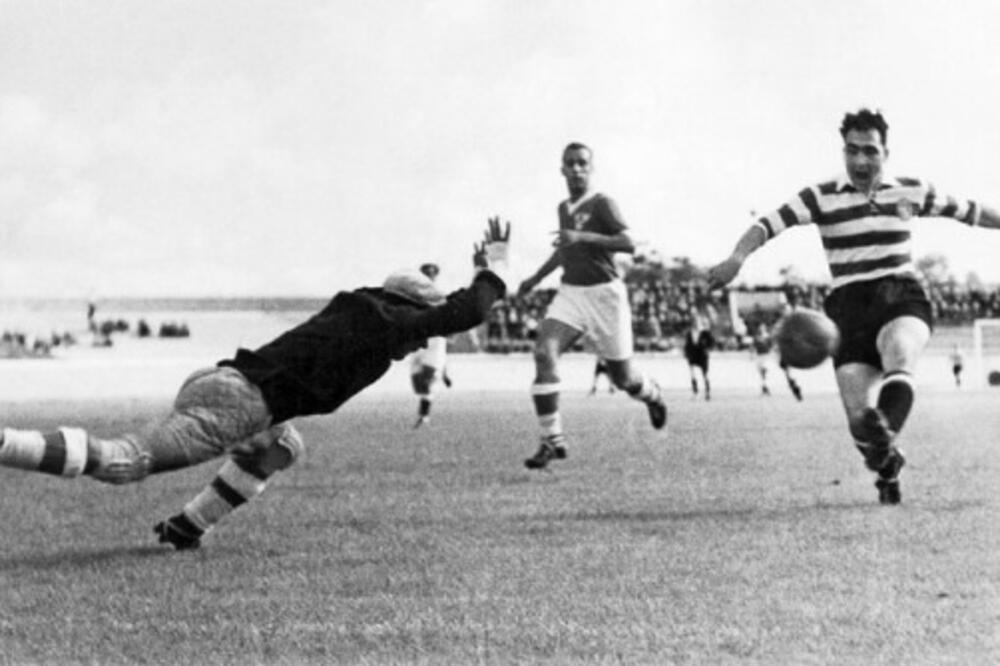 pejtoteo, Foto: Twitter