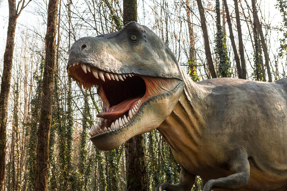 T Rex, Foto: Shutterstock