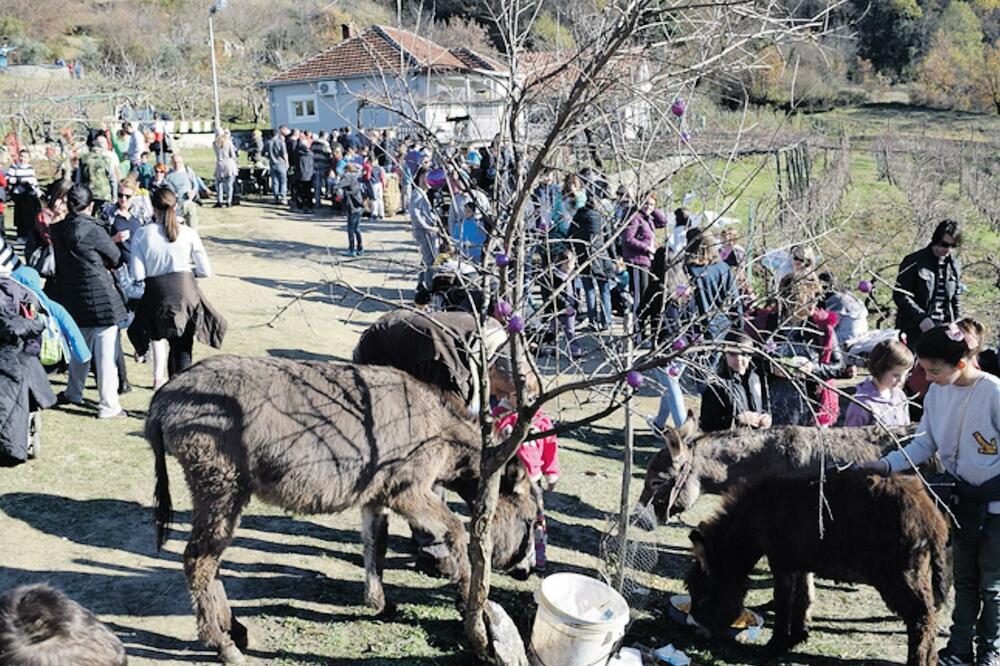 farma magaraca, Foto: Boris Pejović