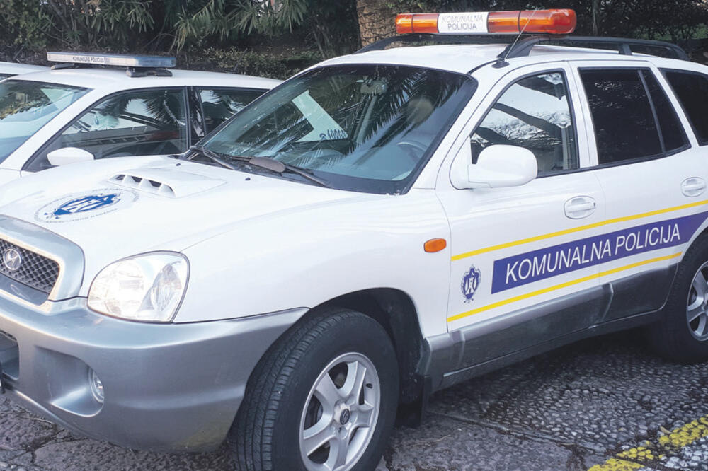 Terenac, Foto: Slavica Kosić