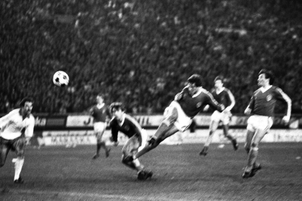 Radanović, Foto: MNPress