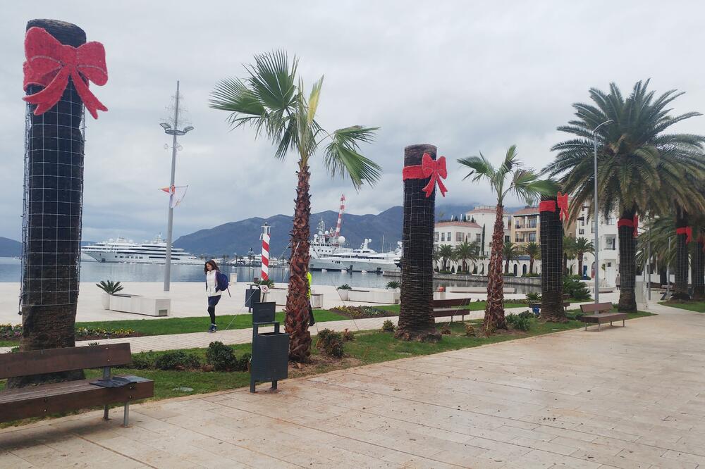 tivatska riva, palme, Foto: Siniša Luković