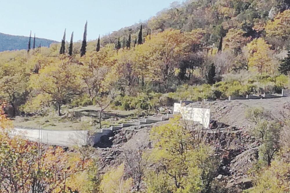 Trebesin, Foto: Ekološko društvo Boke Kotorske
